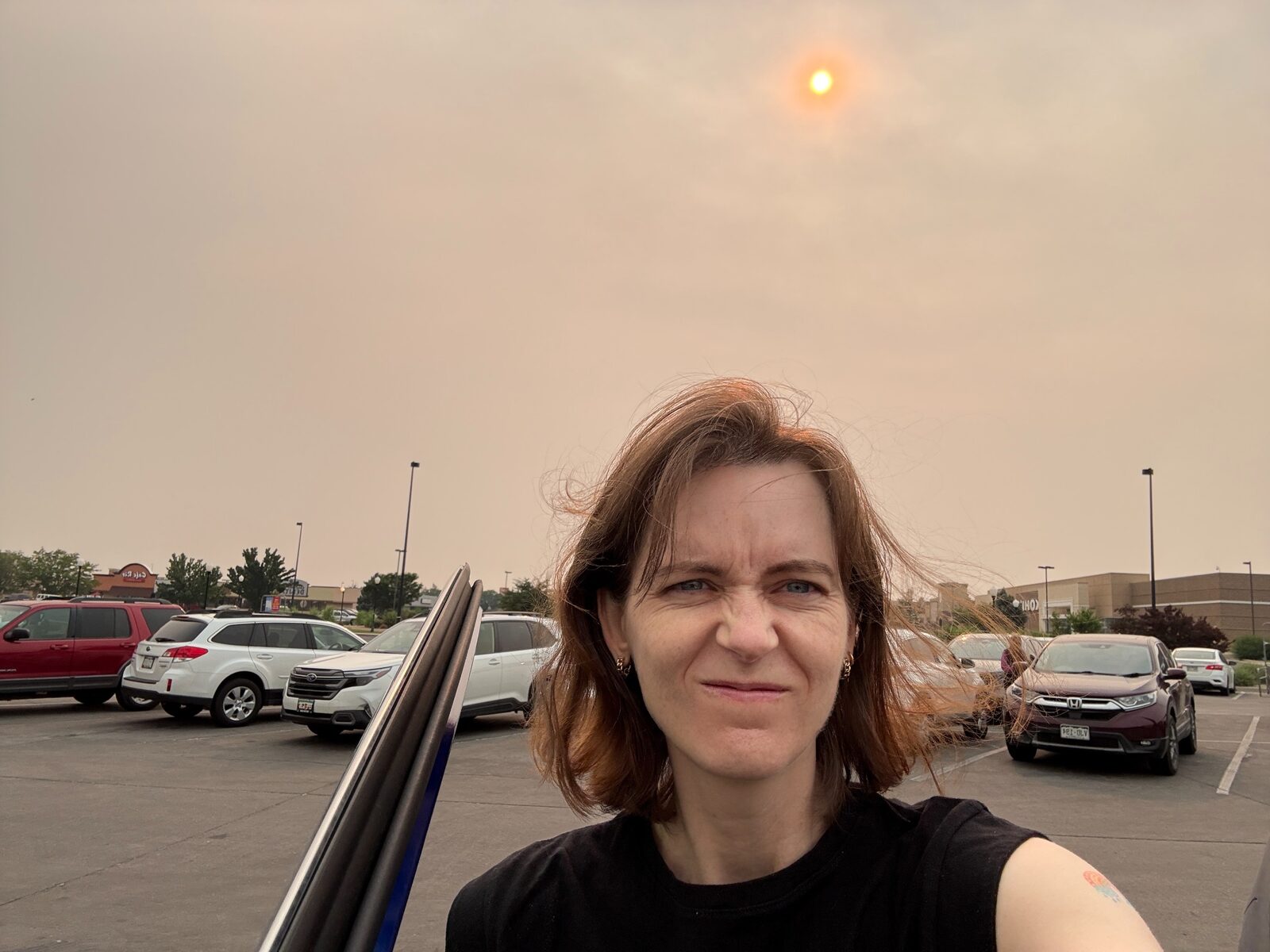 Wildfire smoke
