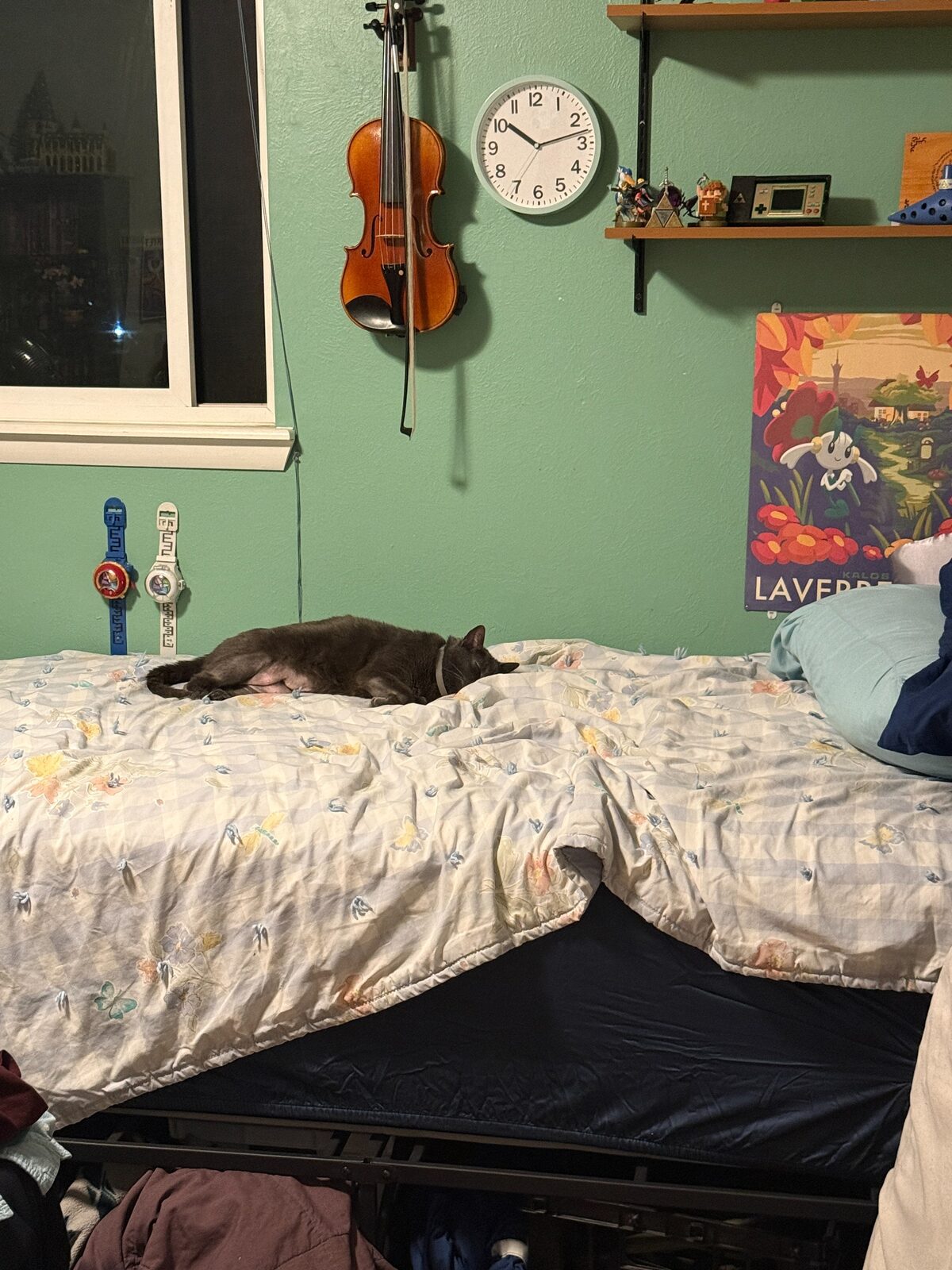 Jack got a new bed and Nimbus approved